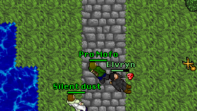 Pro Mofo on screen