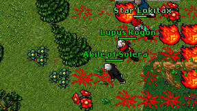 Akile of Solera on screen