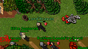 Lord'Brayan on screen
