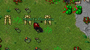 Mighty Phoenix on screen