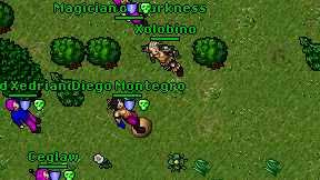 Xolobino on screen