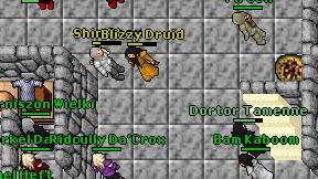 Blizzy Druid on screen