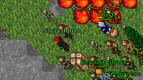 Ninja Hanzo on screen