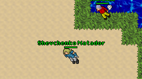 Shevchenko Matador on screen