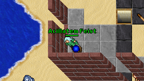 Acillatem Feist on screen