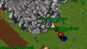 Efterlyst Turk on screen