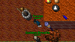 Tecon on screen
