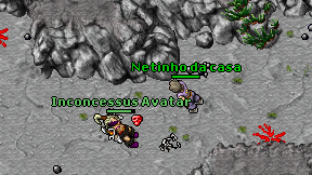 Netinho da casa on screen
