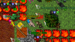 Vad vlood on screen