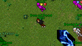 Don of Dead on screen