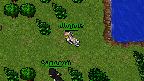 Jingous on screen