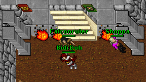 Falconruler on screen