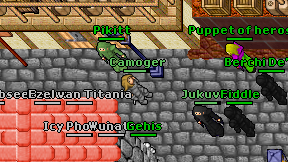 Camoger on screen