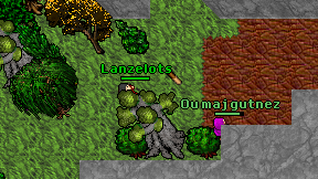 Lanzelots on screen