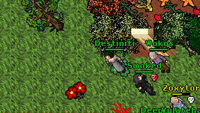 Destiniti on screen