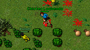 Chistes Loquendo on screen