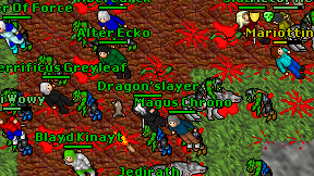 Dragon'slayer on screen