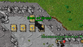 Emir of druid on screen