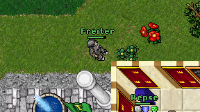 Freiter on screen