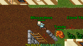Blizzardous on screen