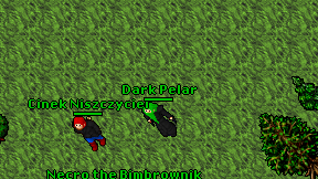 Dark Pelar on screen