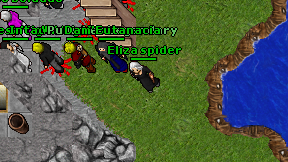 Eliza spider on screen