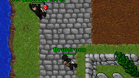 Druidroon on screen