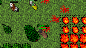 Freek on screen