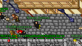 Samis Duliea on screen