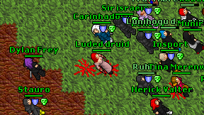 Luded druid on screen