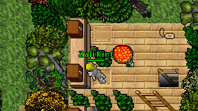 Zali Kirt on screen