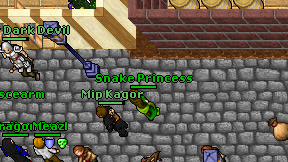 Snake Princess on screen