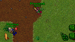 Ptysieek on screen