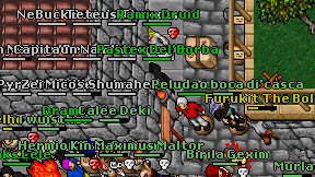 Ramix Druid on screen