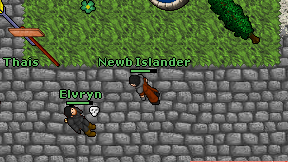 Newb Islander on screen