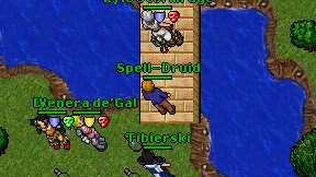 Spell-Druid on screen