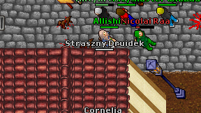 Straszny Druidek on screen