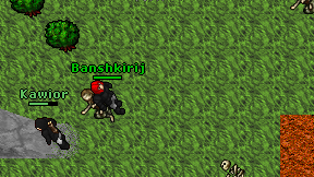 Banshkirij on screen
