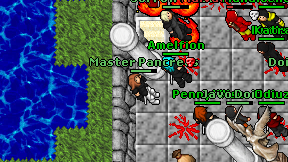 Master Pancreas on screen
