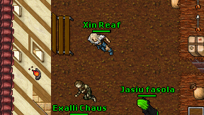 Xin Reaf on screen