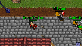 Aran Tufus on screen