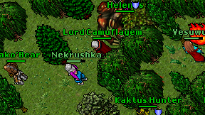 Lord Camuflagem on screen