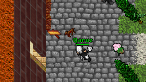 Qaruz on screen