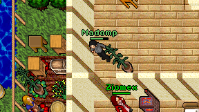 Madomp on screen