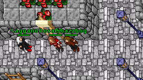 Shazzbog on screen