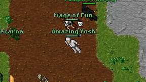 Amazing Yosh on screen
