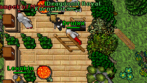 Druixx on screen