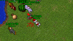 Lfsum on screen