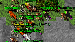 Prodigy Druid on screen