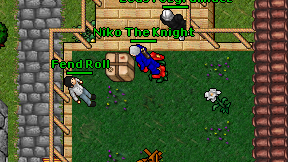 Niko The Knight on screen